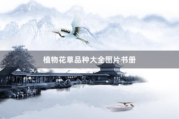 植物花草品种大全图片书册