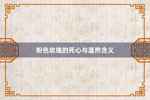 粉色玫瑰的死心与温煦含义