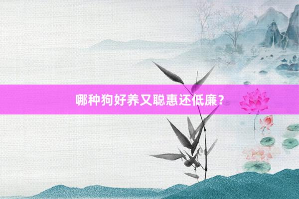 哪种狗好养又聪惠还低廉？