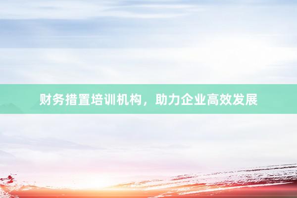 财务措置培训机构，助力企业高效发展