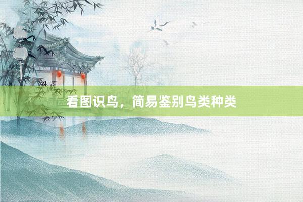 看图识鸟，简易鉴别鸟类种类